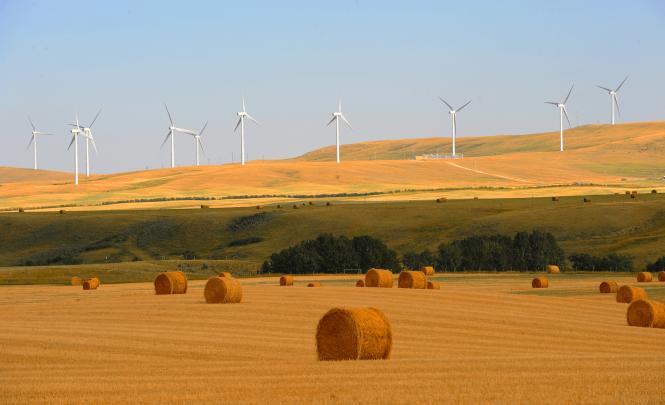 Pincher Creek wind turbines